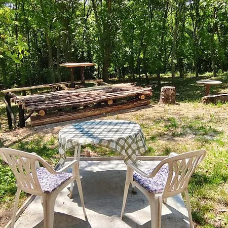 Kleine Waldhaeuschen Case de vacanță