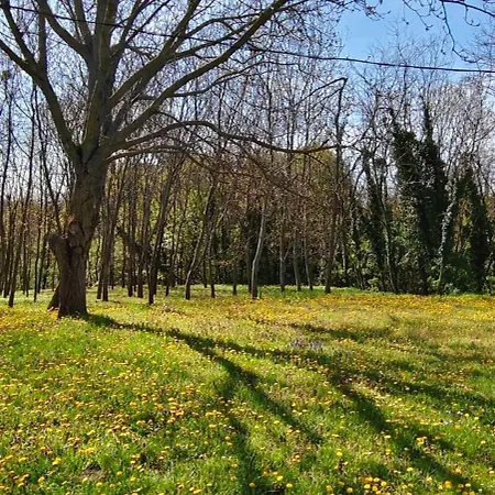 Case de vacanță Kleine Waldhaeuschen